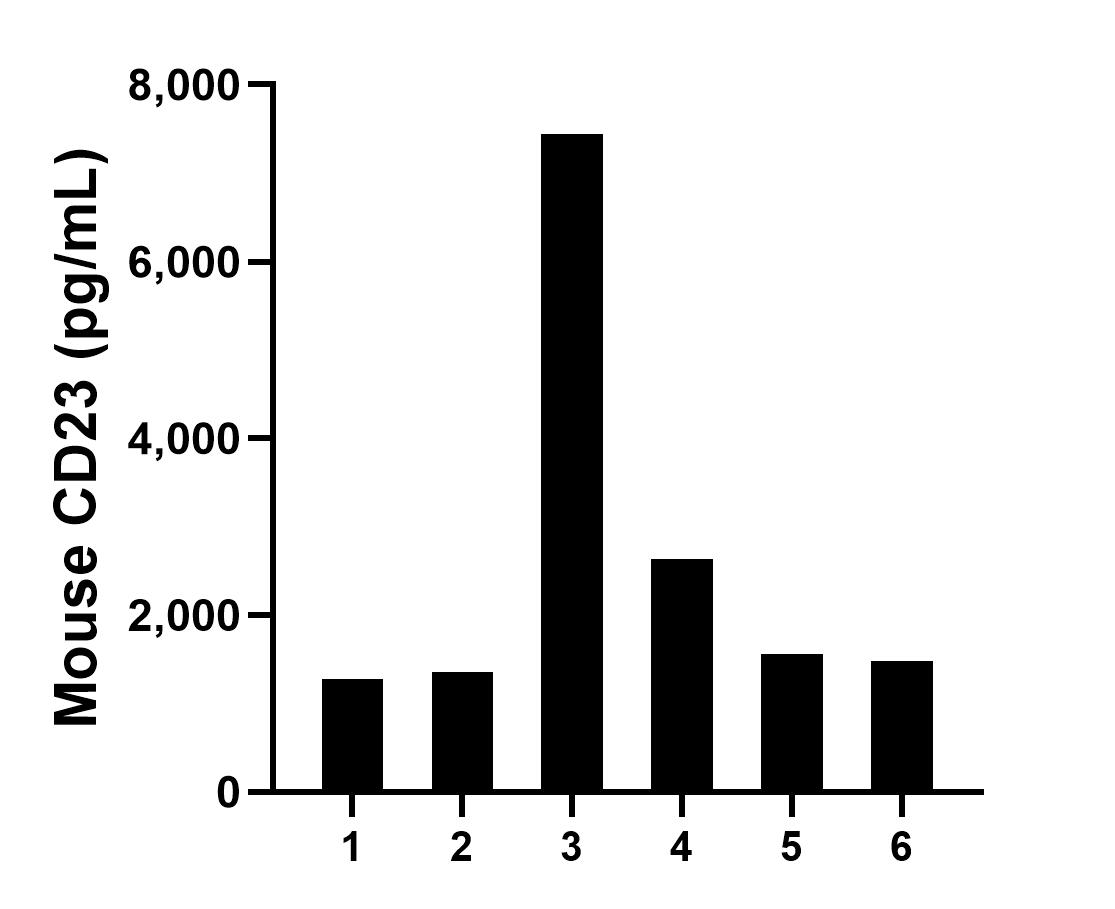 Serum of six mouse was measured. The CD23 concentration of detected samples was determined to be 2624.00 pg/mL with a range of 1279.00 - 7445.00 pg/mL.